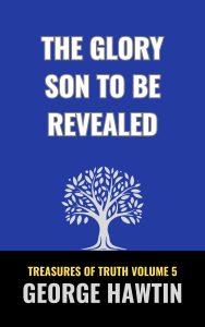 The Glory Son to be Revealed