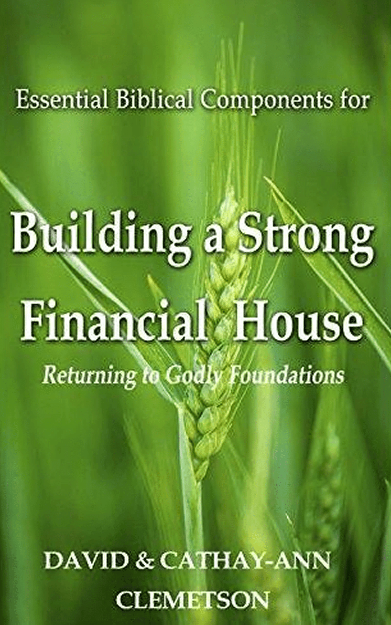 Building a Strong Financial House