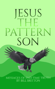 Jesus the Pattern Son