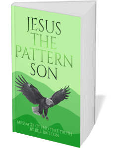 Jesus the Pattern Son by Bill Britton The Revivalist.