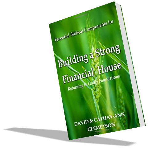 Building a Strong Financial House - PDF eBook