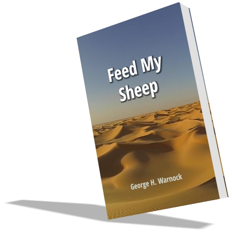 Feed My Sheep - PDF eBook