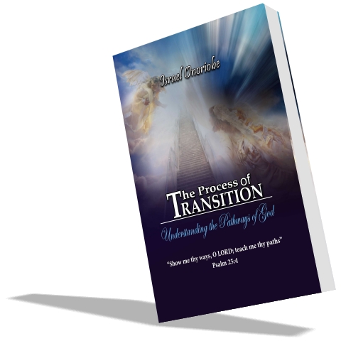 The Process of Transition - PDF eBook
